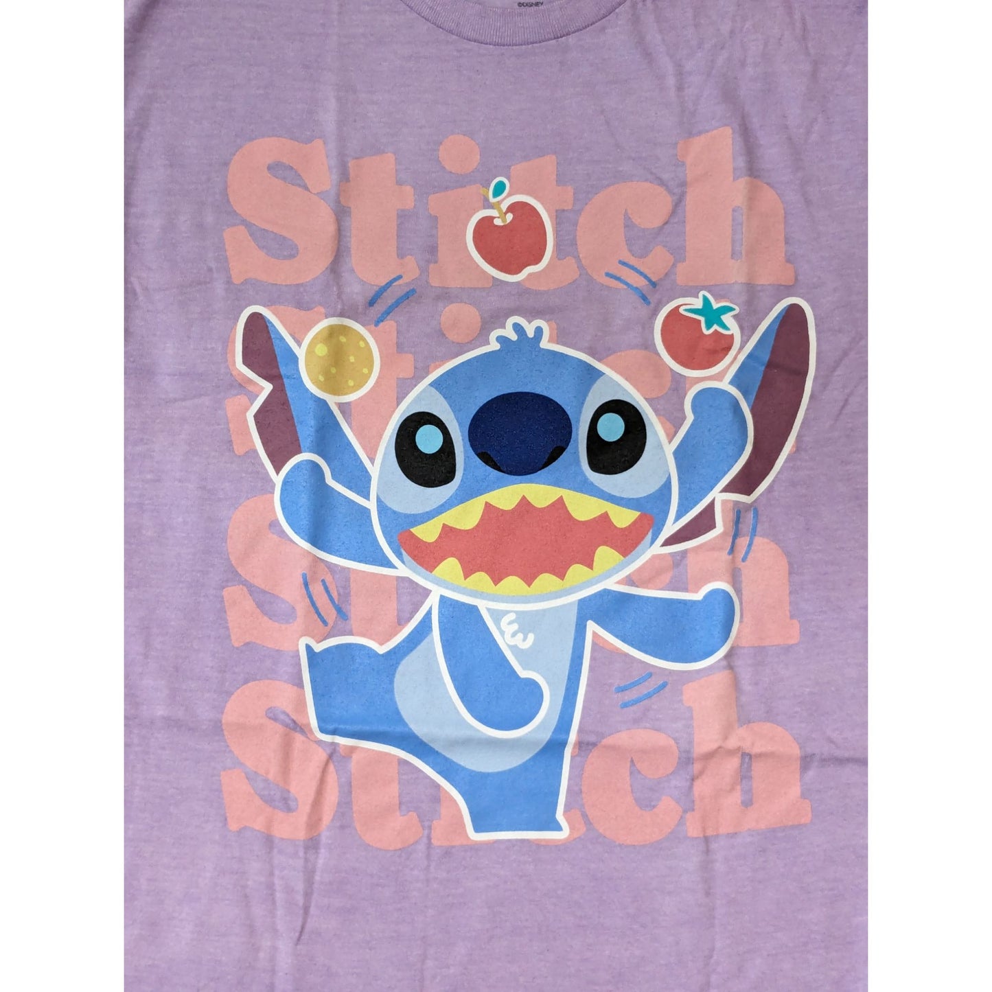 Lilo & Stitch Crewneck Fruit Disney Boyfriend Fit Women Cosplay T-shirt Size M